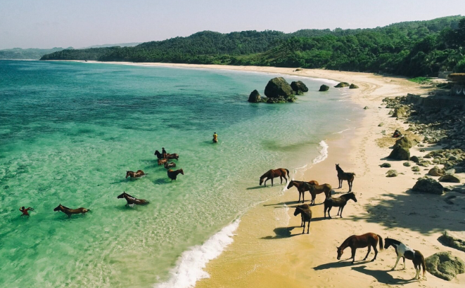 Mengenal Budaya dan Alam Eksotis Pulau Sumba